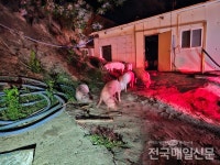 순천시 별량면 돈사화재, 돼지 450두 소사