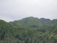 북부지방산림청·철원군, 금학산 치유의 숲 조성을 위한 공동산림사업 협약 체결