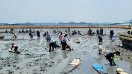 순천만 갯벌, 남녀노소 모두를 홀리다