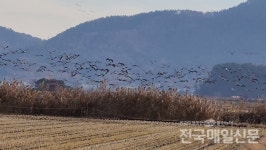 농민을 철새만도 못 여기는 순천시의 민낯