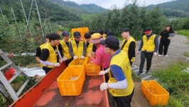 한국폴리텍IV대학 대전캠퍼스 기계시스템과 재학생, 농촌 봉사활동
