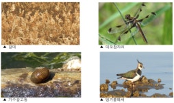 경남 고성군, 마동호 습지 국가습지보호지역 지정 후 가치 더 높아져