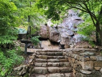 종로구, 북악산·인왕산 100대 명품숲 선정