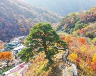 남원 지리산 뱀사골로 화려한 단풍 구경오세요