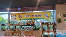 [시민기자가 간다] 제주 흥산초등학교서 학부모・자녀 다혼디체험교실 진행