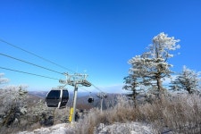 정선 가리왕산에 순백의 상고대 장관…겨울 풍경 만끽