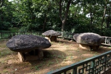 파주 월롱면 덕은리 고인돌 교과서에 실려야…