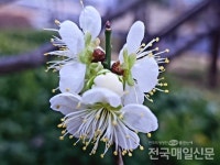 [전매TV] 포근한 봄이 온 전남