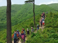 DMZ펀치볼둘레길, 4월부터 운영 재개