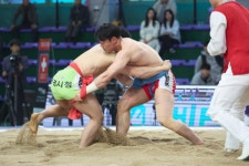 양평군청 김성용 선수 문경장사씨름대회서 태백급 2위 차지