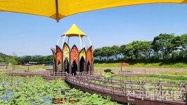 장성 황룡강 길동무 꽃길축제 24~26일까지 개최