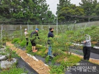 [시민기자가 간다] 한국신장장애인협회제주협회 서귀포지부, 비타민 문화체험 성료