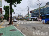 인천 중구 우현로 일대 은행나무 가로수, 전지작업 없어 주민 불만 고조