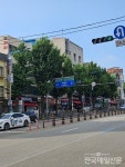 인천 중구 우현로 일대 은행나무 가로수, 전지작업 없어 주민 불만 고조