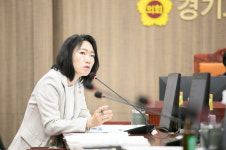 경기도의회 이혜원 의원 효과적 인구소멸 정책 마련, 경기도 시·군 협력 강화해야