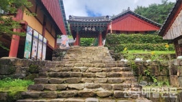 [전매TV] 여름에 더 매력적인 고장 곡성군