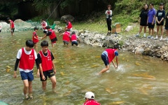 삼척시 환선체험휴양마을 맨손송어잡기 체험행사 개최