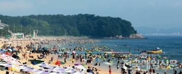 [전매포토] 더위야 물러가라~ 보령 대천해수욕장서 여름 만끽