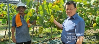 여주 광영농장 샤인머스켓 불모지 첫발 관심 집중