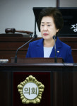 김순애 송파구의원, 성남서울공항 소음 대책 제안