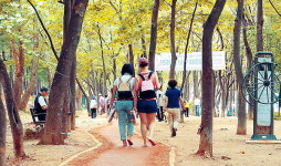 서초구, 서초행복길 새단장…숲길, 물길, 흙길, 무장애길 걸어보세요