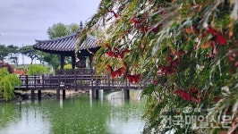 [전매TV] 가을비 내린 곡성 기차마을