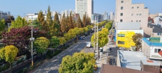 인천 미추홀구, 인하로 은행나무길 모범도시 숲 선정