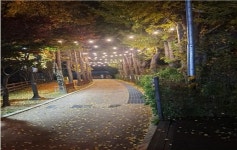 구리시, 구리토평가족캠핑장 LED 경관조명 설치