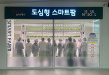 서대문구 도심형 스마트팜, 미래 도시농업 체험 공간으로 인기