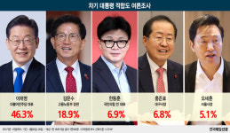[그래픽뉴스] 차기 대선 적합도, 이재명 46.3%·김문수 18.9%·한동훈 6.9%