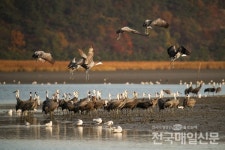 일본 관광객... 순천을 새로운 여행지로 손 꼽았다