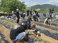 아산시 외암마을에서 봉사 어때 프로그램 운영