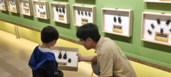 여주곤충박물관, 곤충으로 세계인 소통하는 K-문화 속도
