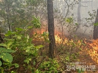 [속보] 강원 양구군 산불 재발화...주불 진화 완료