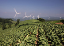 영양군, 농업 소득 안정·구조 혁신 병행…고추산업 중심 농정 전개