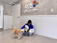 여름휴가철 반려견 돌봄쉼터 운영…서초구, 7일부터 선착순