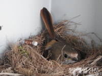 순천만 용산전망대 새 생명의 시작을 품다
