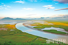 순천만 용산전망대 새 생명의 시작을 품다
