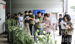 우리화훼종묘주식회사, 백합 수출유망품종 시험재배 현장 평가회 성료