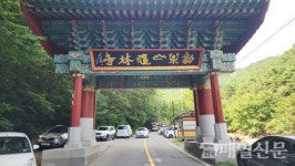 [전매TV] 천년 고찰 곡성 도림사, 고즈넉한 아름다움 속으로