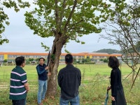 서천교육지원청, 장항초등학교 수목 관리 컨설팅