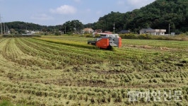 송정농협, 전국 최초 벼 무경운 재배 수확 현장 점검