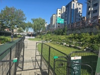 민영진 관악구의원, 이동식 반려견 쉼터 관악 댕실댕실 놀이터 운영추진 결실