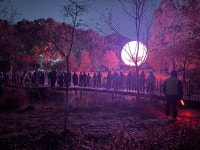 부천 야간테마경관 루미나래 도화몽, 개장 24일 만에 1만 명 돌파