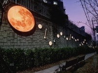 동구, 재능로 야간경관 조성 사업 완료