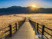 제26회 순천만 갈대축제 사계절 축제 전환을 향한 첫걸음