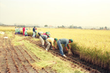 강서구, 2000년 이전 모습 담은 옛 사진 공모