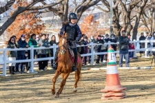 순천시 제1회 팔마 유소년 승마대회 성료
