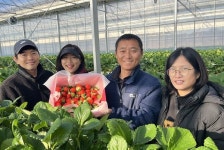 강진군, 청년 농업인 스마트팜 딸기 재배 시작