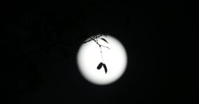 [10년 전 그날] 크리스마스에 뜬 럭키문